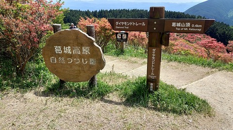 KIMG20260514_122913582