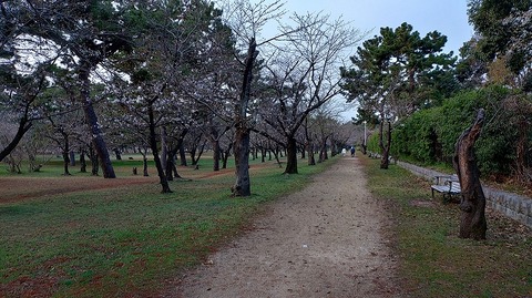 KIMG20260329_062129395