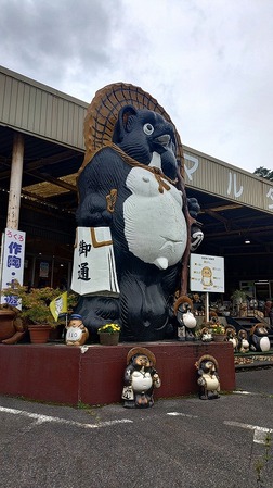 KIMG20260704_115153382