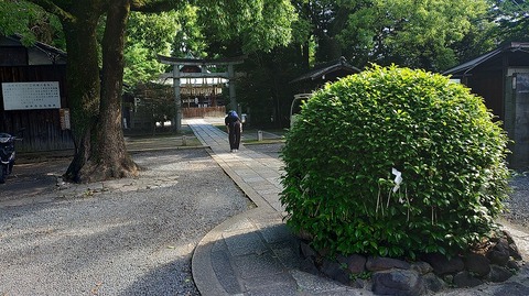 KIMG20260611_081330902