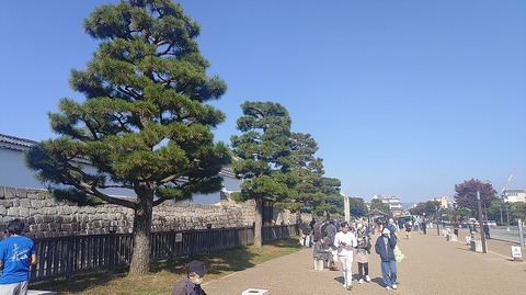 KIMG20251108_111200224