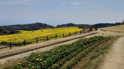 KIMG20260324_115616932