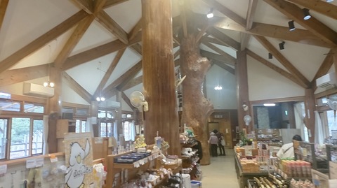 KIMG20251202_140928312