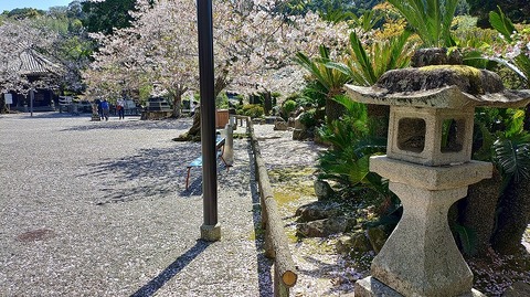 KIMG20260408_105030705