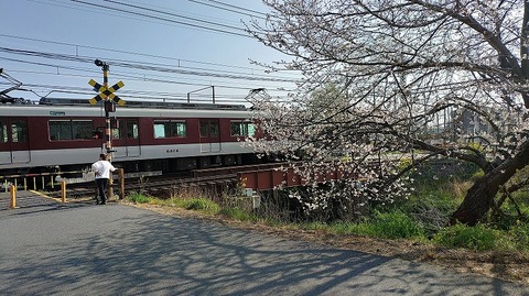 KIMG20260403_082542013