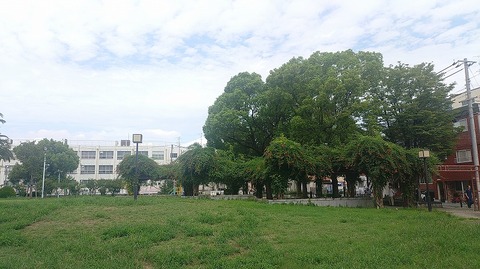 KIMG20260910_111536839