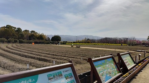 KIMG20260224_123142815