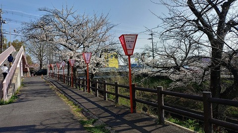 KIMG20260403_082904406