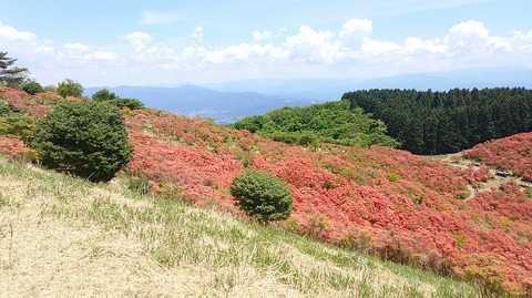 KIMG20260514_122415723
