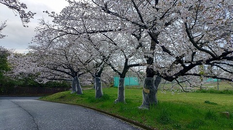 KIMG20260402_061937797