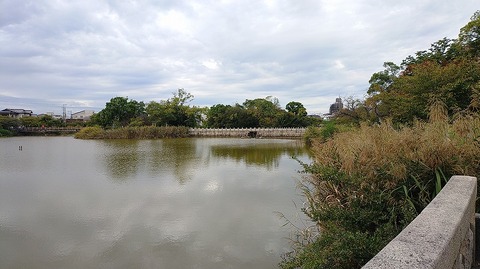 KIMG20251025_084309488