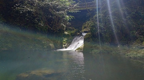 KIMG20260417_120424322