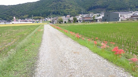KIMG20260930_113327508
