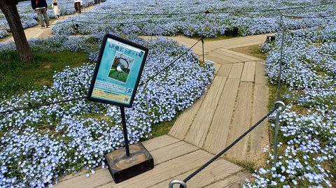 KIMG20260422_102106796