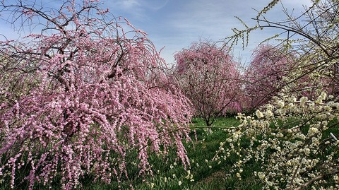 KIMG20260224_124154419