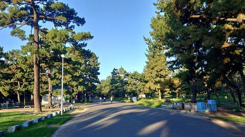 KIMG20260710_054536695