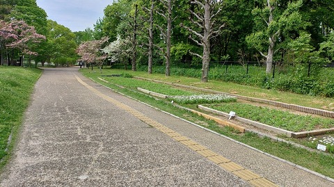 KIMG20260422_095534892