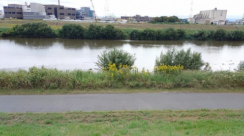 KIMG20251019_114555020