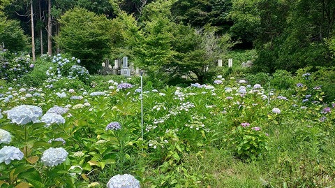KIMG20260618_100630793