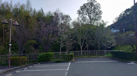 KIMG20260403_071413083