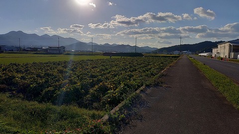 KIMG20251029_153527222