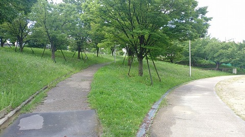 KIMG20260703_080335882