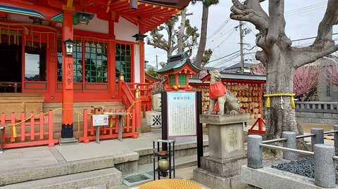 KIMG20260302_122506569