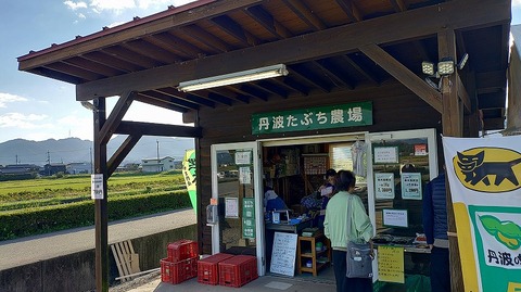 KIMG20251029_153454213