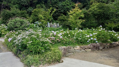 KIMG20260618_100448633