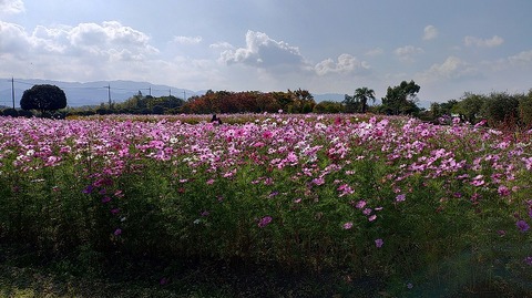 KIMG20251114_103218353