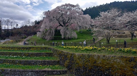 KIMG20260331_113431652