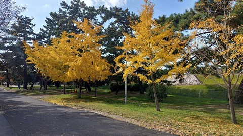 KIMG20251128_124615840