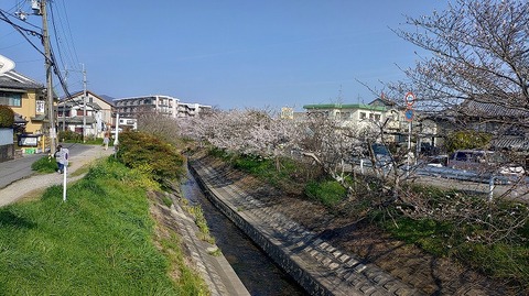 KIMG20260403_082024275