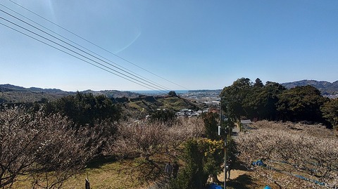 KIMG20260218_124217986