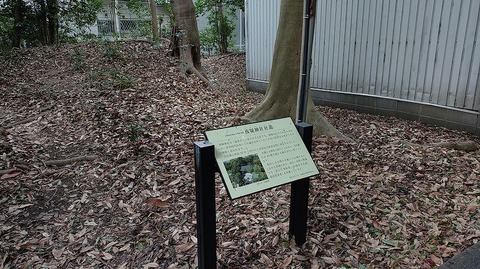 KIMG20260126_103200099