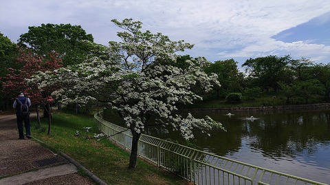 KIMG20260422_095231585