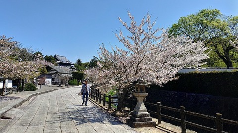 KIMG20260408_104002105