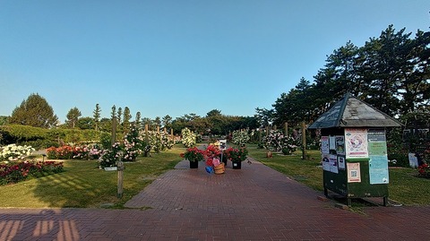 KIMG20260519_061445783