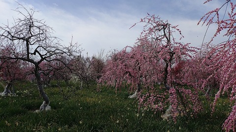 KIMG20260224_123806233