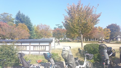 KIMG20251108_105942658