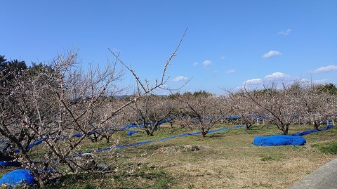 KIMG20260218_130004297