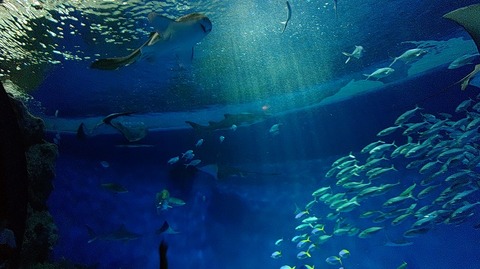 KIMG20251008_104838702