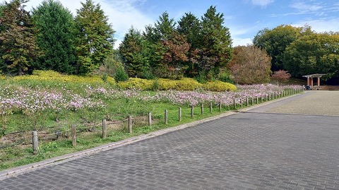 KIMG20251112_111014533