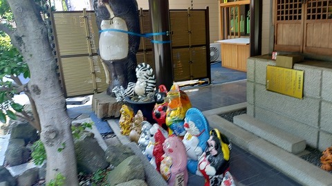KIMG20260524_113706447