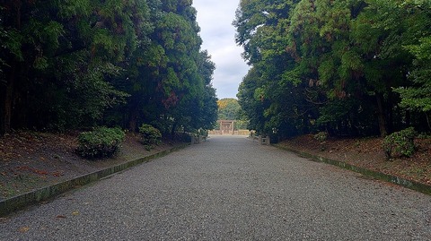 KIMG20251125_133147784