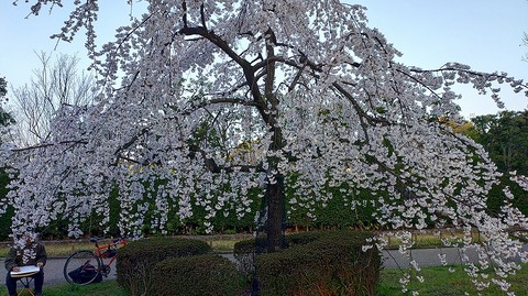 KIMG20260327_061720793