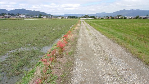 KIMG20260930_113316513