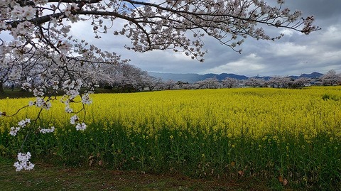 KIMG20260331_104230325