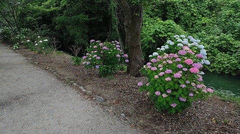KIMG20260601_145541911