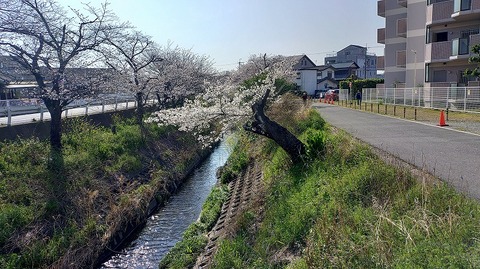 KIMG20260403_084628112